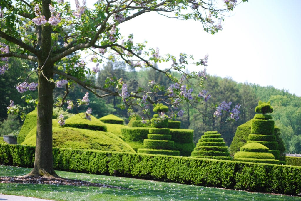 Longwood Gardens topiaries