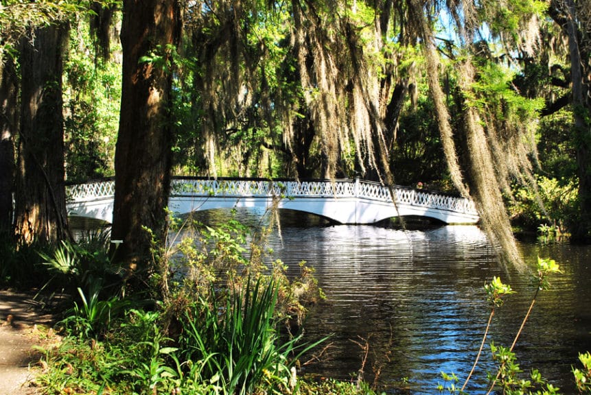 Bridge at Magnolia Plantation