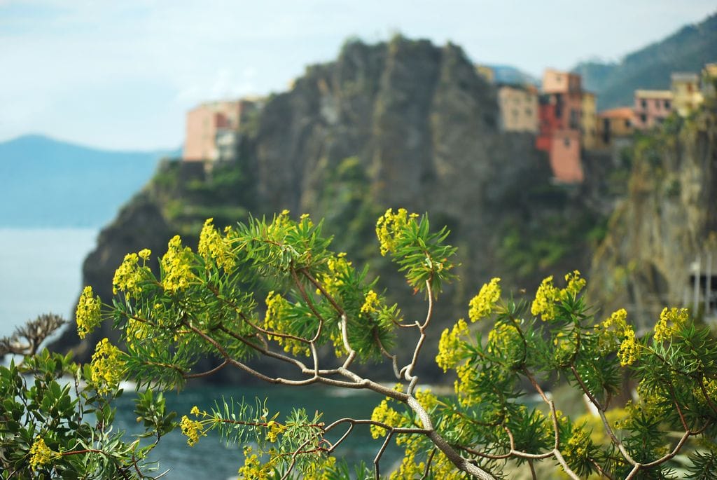 Cinque Terre