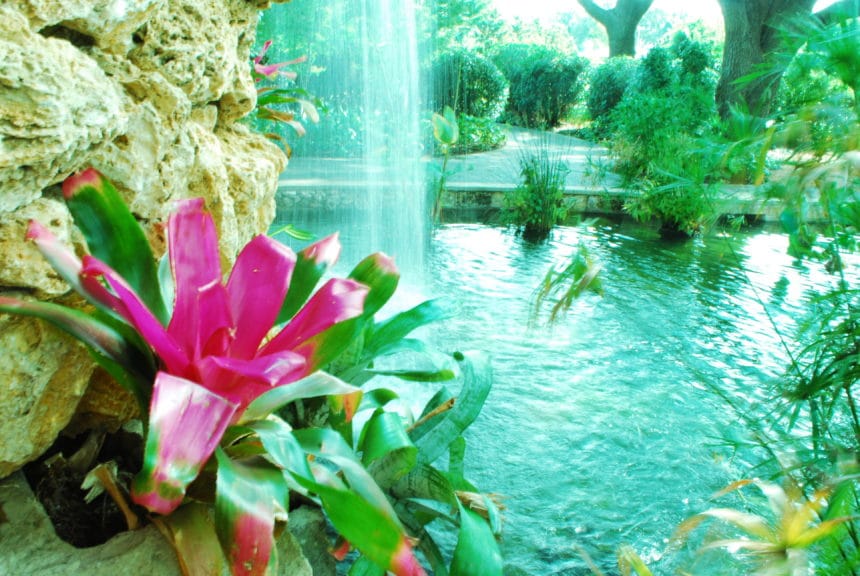 Dallas Arboretum waterfall