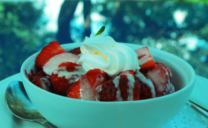 Strawberries and cream at the Dallas Arboretum