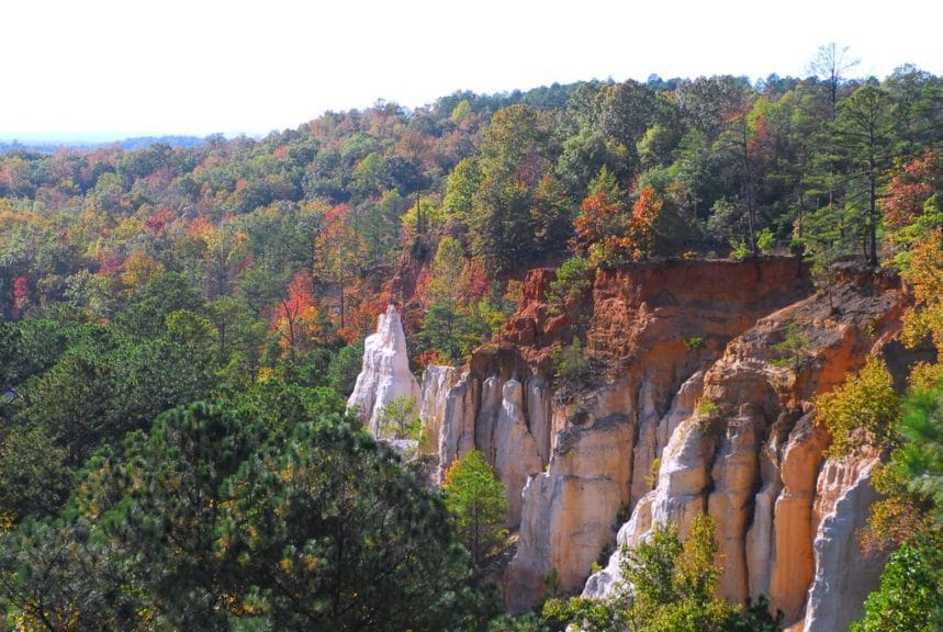 are dogs allowed at providence canyon