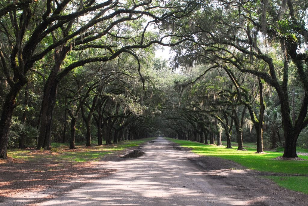 Historic Savannah