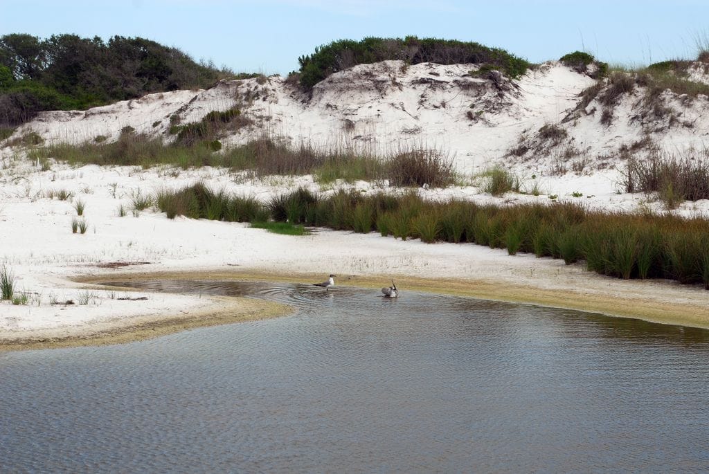 Shell Island