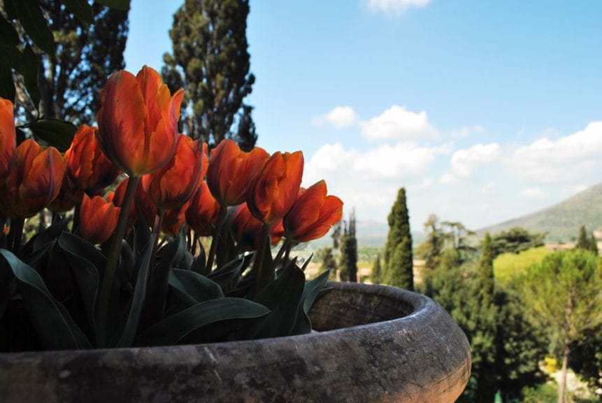 Villa d'Este